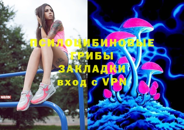 индика Алексеевка
