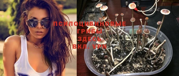 индика Алексеевка