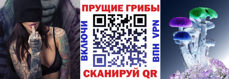 где купить   Железногорск-Илимский  Галлюциногенные грибы Cubensis 